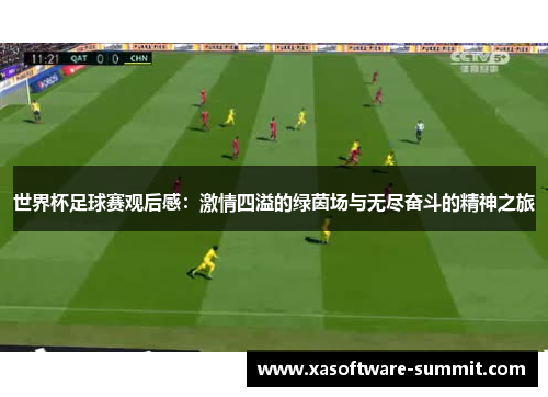 世界杯足球赛观后感：激情四溢的绿茵场与无尽奋斗的精神之旅